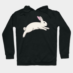 Jumping Bunny Rabbit Easter gift Hoodie